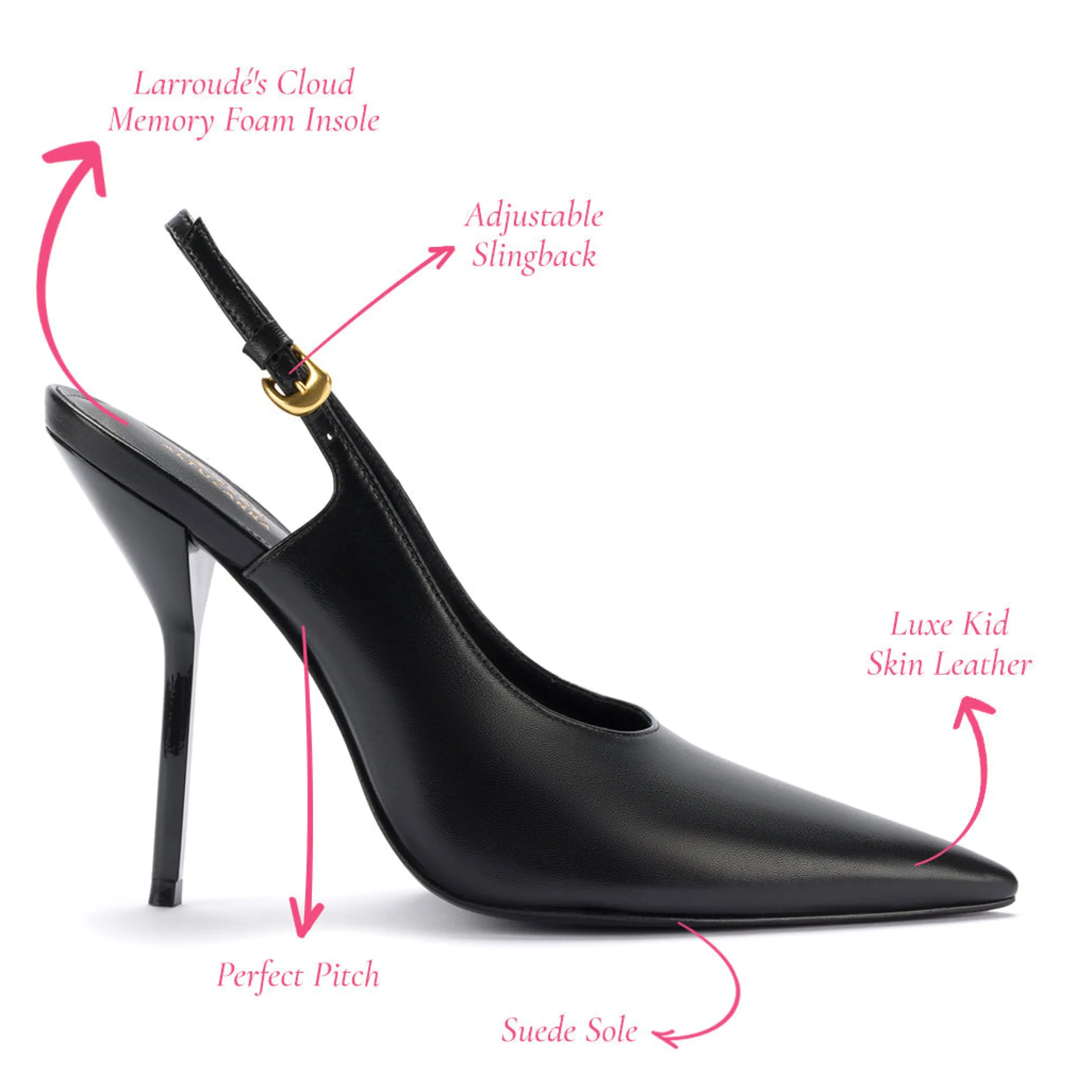 Larroudé X Altuzarra Pump In Black Leather